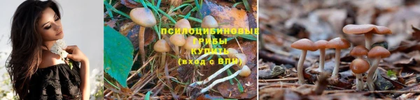 каннабис Киренск