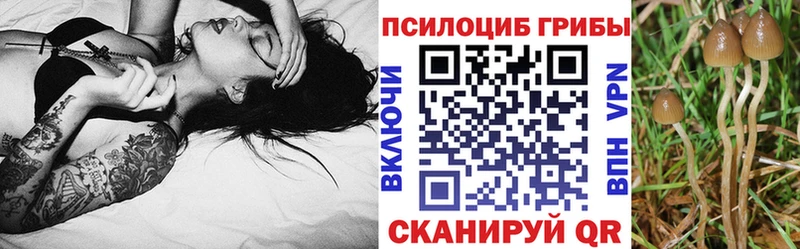Галлюциногенные грибы ЛСД  Купить где  Карабулак 