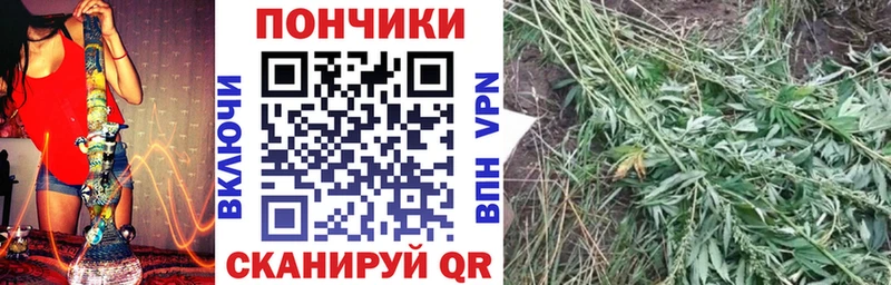 Купить закладки  Карабулак  Каннабис White Widow 